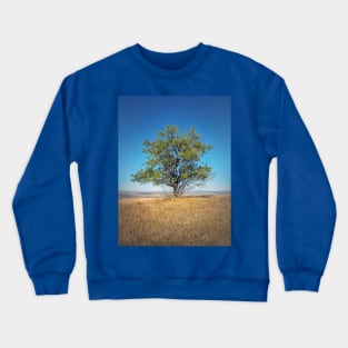 tree on the top of a hill Crewneck Sweatshirt